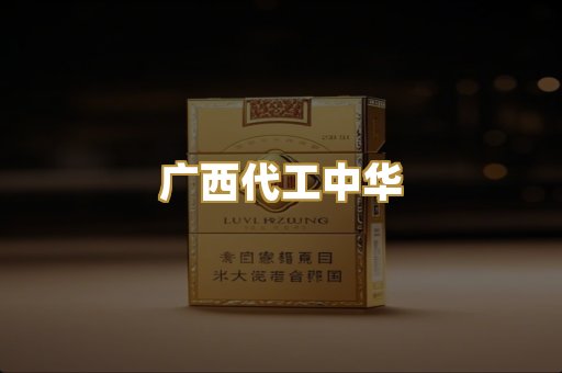广西代工中华